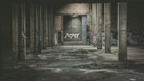 Abandonend Graffiti von Florian Barfrieder