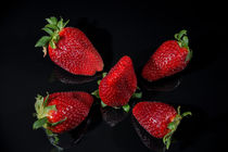 Erdbeer-Quintett by Erhard Hess