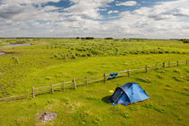 Camping tent in grassland by Arletta Cwalina