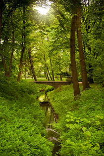 Green spring trees and stream by Arletta Cwalina