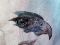 Blue Eagle von Lyn Banks