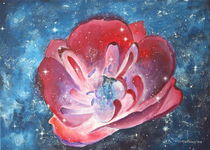 Tulpe und die Sterne by Lidija Kämpf