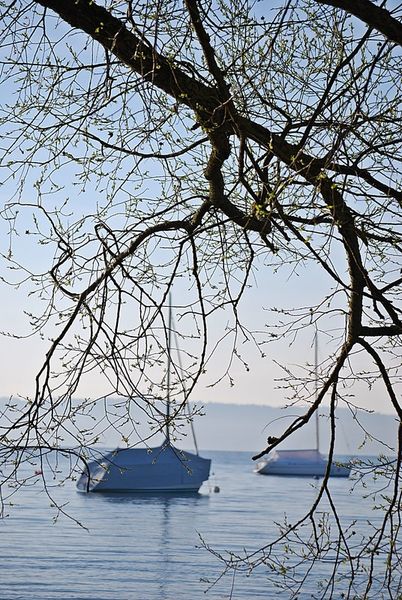 Ammersee129