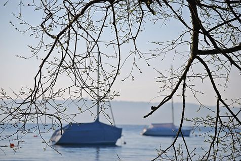 Ammersee128