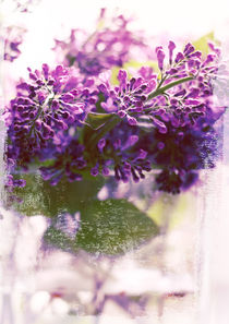 Lilac by Sybille Sterk