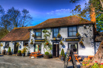 The Theydon Oak Pub by David Pyatt