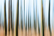 Blurred abstract  of a forest in autumn  by Arpad Radoczy