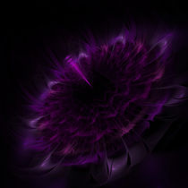Purpurne Blüte von Viktor Peschel
