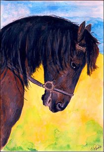 Aquarell Black Horse Portrait  von Sandra  Vollmann