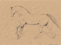 Horse running by Elisaveta Sivas