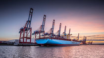 Eleonora Maersk IV by photoart-hartmann