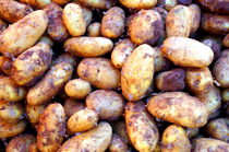 Kartoffeln - potatoes von mateart