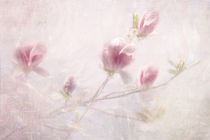 Whisper of Spring by Annie Snel - van der Klok