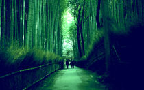 Bamboo forest von Giorgio Giussani