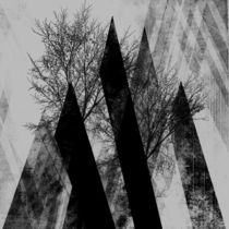 TREES V by Pia Schneider