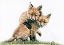 Fuchskinder - Fox Kids von Nicole Zeug