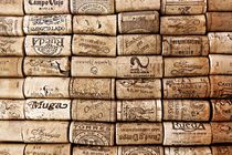 Spanish Corks by Clare Bevan