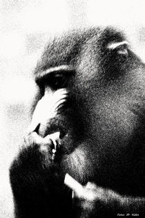 Der Primat, wild und mächtig! by malin
