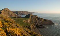Hartland Seascape from the West coast of Devon by Pete Hemington