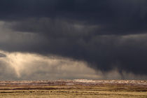 Desert Storm by Daniel Troy