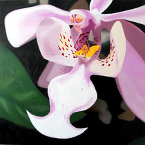 white orchid by Daniela Valentini