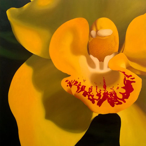 Orchid-series-yellow-cymbidium-2013