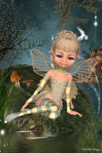 Star Fairy by Toni Jonckheere