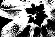 tulips black and white... 11 by loewenherz-artwork