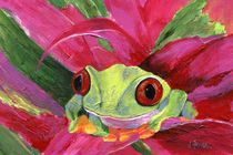 Ruby the Red Eyed Tree Frog by Jamie Frier