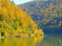 Herbst an der Donau in Oberösterreich by gscheffbuch