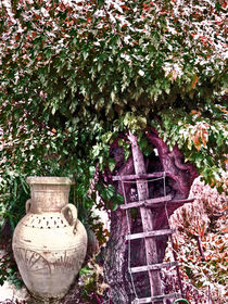 Vasenfragment an der Leitersprosse by Gabi Kaula