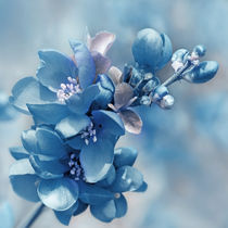 Blau  by Violetta Honkisz