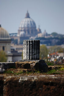 Rome ... eternal city VI by meleah