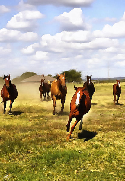 Quarter-horses-dap-re-acrylic