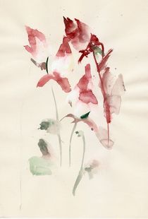 nice flowers by Ioana  Candea