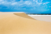 Sand Dunes by David Hare