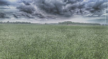 Clouds and fields by Michael Naegele