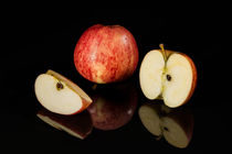 Apfel-Aufschnitt (5) von Erhard Hess