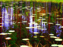 Fall Pond by Pauli Hyvonen