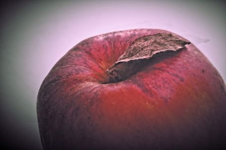 Apfel-005l-farbspiel