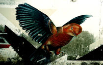 Bird von Giorgio Giussani