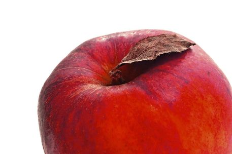 Apfel-005c-farbspiel