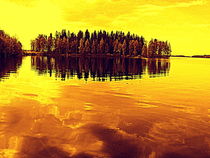 Golden Sunset by Pauli Hyvonen
