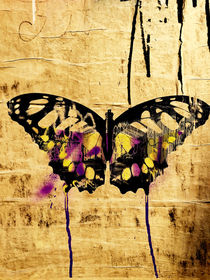 Butterfly by Giorgio Giussani