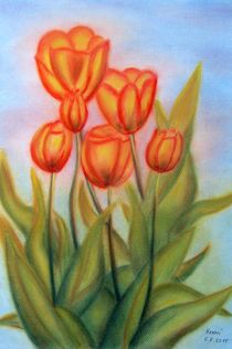 Tulpen in Pastell by konni