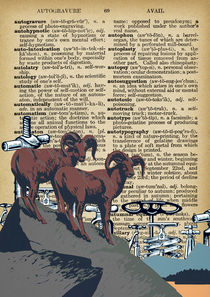 Vintage dictionary poster, "The National Park" von Gloria Sánchez