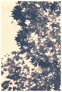 Leaves, experimental - three von chrisphoto