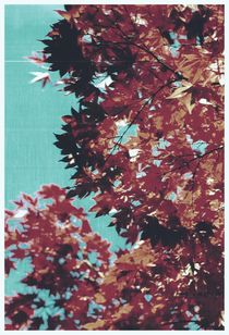 Leaves - experimental - one von chrisphoto