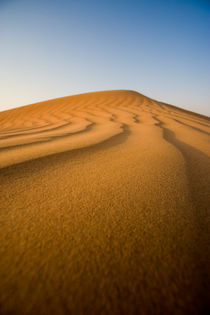 Wüste by Helge Reinke