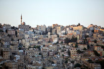 Amman von Helge Reinke